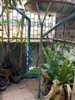 listing thumbnail image 21
