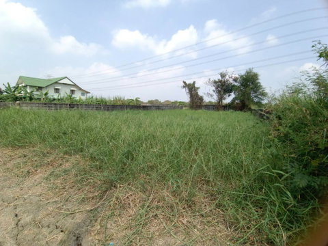 ที่ดินถูกๆ ขายเท่าราคาประเมิน 127ตรว. ถมแล้ว  ซ.คุ้มเกล้า 5