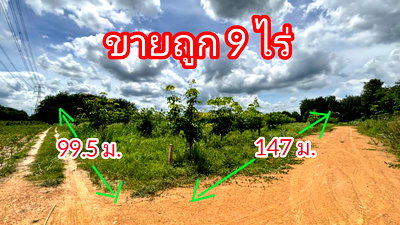 ที่ดิน ที่ว่าการอำเภอปลวกแดง : 🚩ที่ดิน 9 ไร่กว่า ถูกที่สุดในย่านนี้ ปลวกแดง ระยอง ที่สวยติดถนนสาธารณะกว้าง 8 เมตร