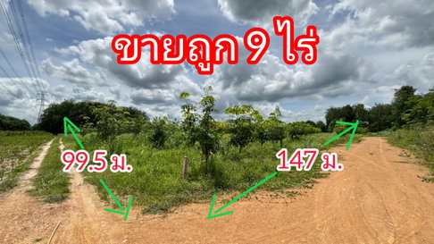 ðĐOver 9 rai of land for sale, the cheapest in this area of ââPluak Daeng, Rayong.