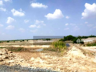 Land for sale Nakhon Ratchasima : Land for sale, area 19 rai, Dan Khun Thot District, Nakhon Ratchasima