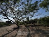 listing thumbnail image 20