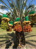 listing thumbnail image 18