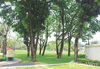 listing thumbnail image 7