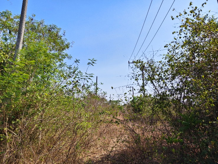 รูป 🏡💥 ขายที่ดินถมแล้ว – น้ำไฟครบ – ราคาต่ำสุดในโซนเดียวกัน! 📍 ใกล้โรงเรียนนานาชาติหัวหิน เนื้อที่ 100 ตารางวา - รูปที่ 5/13