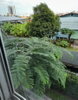 listing thumbnail image 19