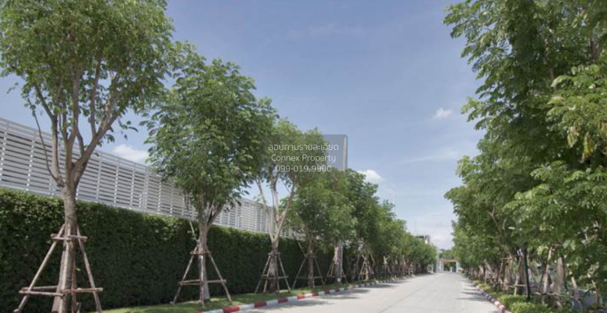 รูป ขายคาซ่า ซิตี้ ดอนเมือง - สรงประภา ห้องมุม หน้ากว้าง    CX-152309 ✅ ทักไลน์ @connexproperty ตอบทันที ทีมงานมืออาชีพ ✅ - รูปที่ 12/12