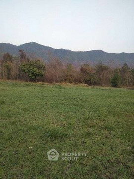 2428 Sqm Land For Sale On Klang, Mae On, Chiang Mai (ID 2852313)
