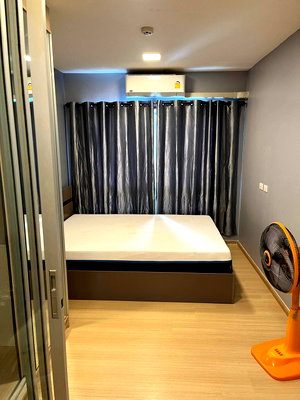 Condos for rent Thammasat University, Rangsit Campus : Plum Condo Rangsit Alive for rent