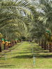 listing thumbnail image 14