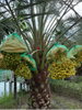 listing thumbnail image 7