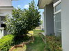 listing thumbnail image 25