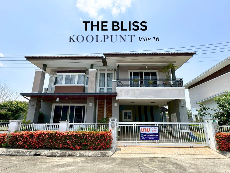ขายบ้านเดี่ยว : ขาย บ้านเดี่ยว The Bliss กุลพันธ์วิลลิ์16 บ้านสร้างใหญ่กว่า Type ปกติเพื่อการใช้งานได้จริง ฝ้ายกสูง ถนนสันกำแพงสายใหม่ มีห้องนอนชั้นล่างและห้องแม่บ้าน