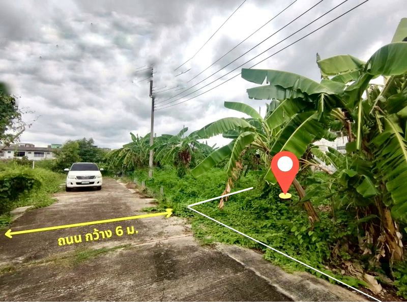 รูป ✨✨✨ ขายที่ดินเปล่าถมแล้ว 📍 ซอยบรมราชชนนี 68 ทำเลดี เข้าออกได้ 2 ทาง!   - รูปที่ 1/7