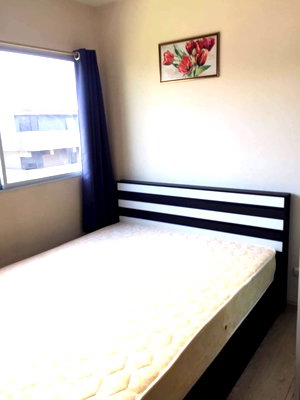 Condos for rent : Plum condo Park Rangsit for rent 