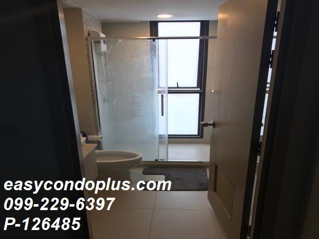 รูป P-126485 วิวเมืองสวย! The Tree Sukhumvit 64 ใกล้ BTS ปุณณวิถี 16,000 บาท  | Line Id: @easycondoplus | 099-229-6397 - รูปที่ 7/9