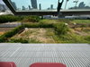 listing thumbnail image 27