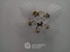 listing thumbnail image 12