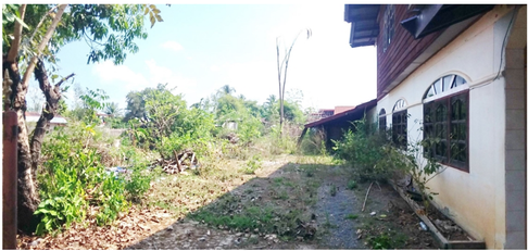 บ้านครึ่งตึกครึ่งไม้ 143 ตร.วา โครงการ บ้านนาแสงสาคร บึงกาฬ ศรีวิไล บึงกาฬ 1.5M