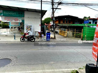Houses for rent Tesco Lotus Srinakarindra : House for rent, suitable for business, office, Wat Dan Samrong