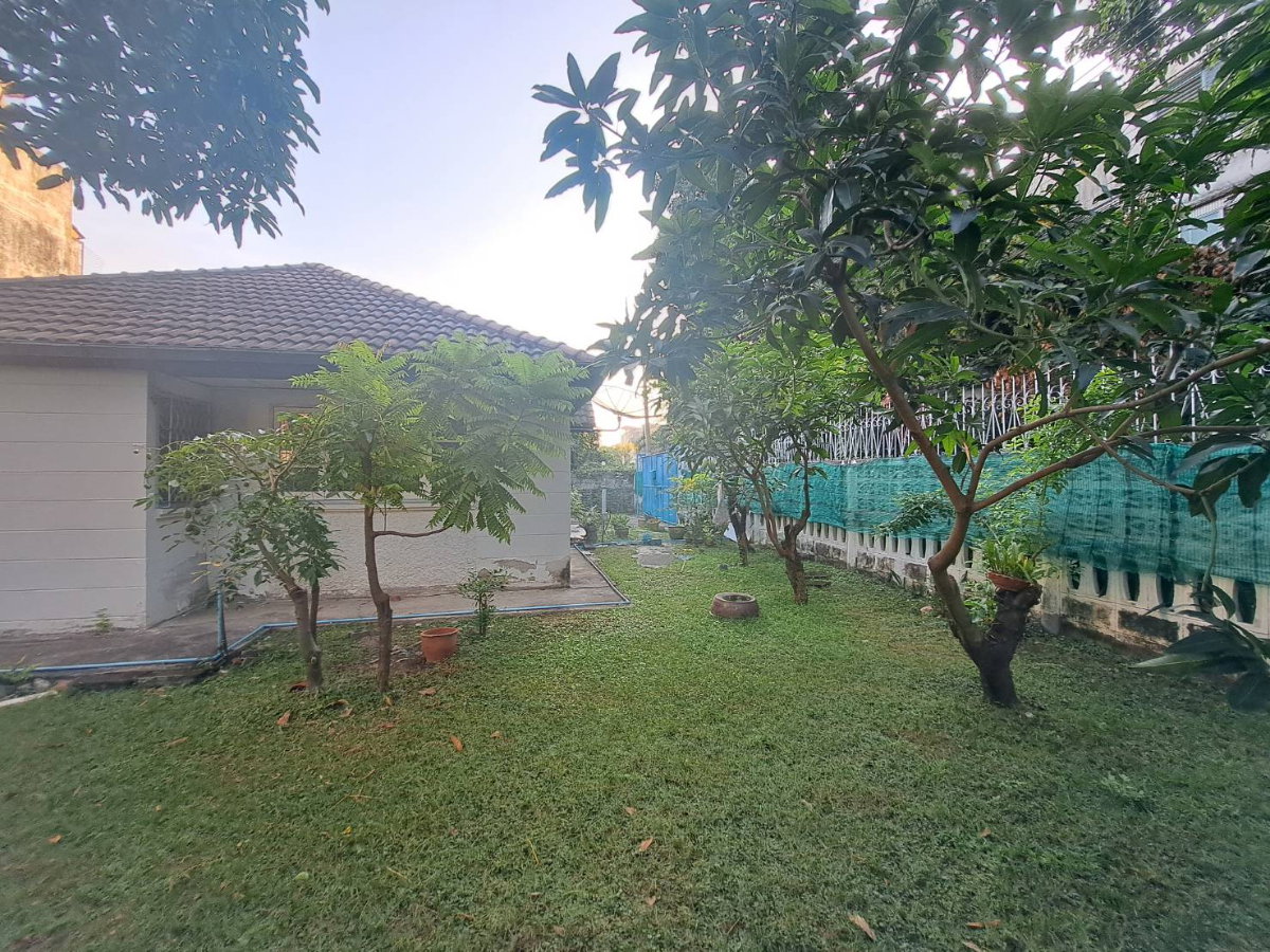 รูป [เจ้าของขายเอง] ที่ดินพร้อมบ้าน 100 ตร.ว. รูปแปลงสวยสี่เหลี่ยม ทำเลทองรามอินทรา 65 (ซอยถนอมมิตร) - รูปที่ 4/9