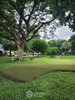 listing thumbnail image 16
