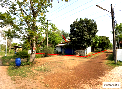 ขายบ้านเดี่ยว : บ้านเดี่ยว 175 ตร.วา ศรีสงคราม นครพนม 1.3M