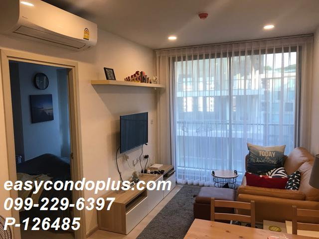 รูป P-126485 วิวเมืองสวย! The Tree Sukhumvit 64 ใกล้ BTS ปุณณวิถี 16,000 บาท  | Line Id: @easycondoplus | 099-229-6397 - รูปที่ 2/9