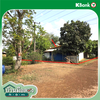 listing thumbnail image 13