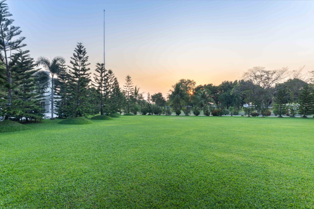 รูป ขายบ้านหรูพร้อมที่ดิน 7.28 ไร่  ติดสนามกอล์ฟเมืองเอก ปทุมธานี ใกล้ ม.รังสิต และสนามบินดอนเมือง - รูปที่ 15/16