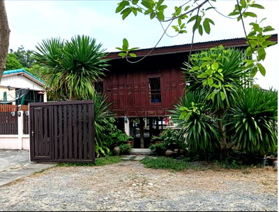 ที่ดิน กรุงเทพมหานคร : ขายบ้านพร้อมที่ดิน ใกล้ถนนประเสริฐมนูกิจ ซ.เสนานิคม 1 ซอย 25 ขนาด 145.5 ตารางวา บรรยากาศดี เหมาะอยู่อาศัย