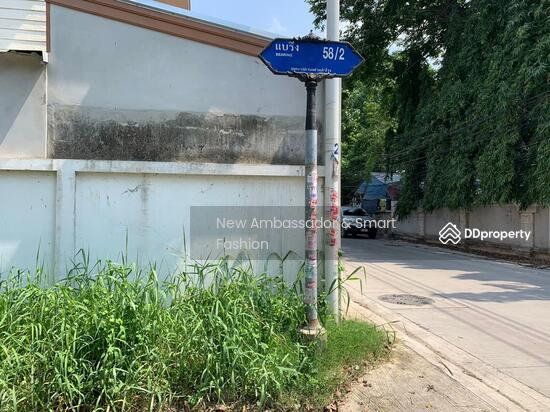 รูป ให้เช่าบ้านเดี่ยวใกล้โรงเรียนนานาชาติ  แบริ่ง ซอย58   เนื้อที่ 130 ตารางวา  - รูปที่ 3/4