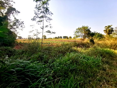 LAND 756 Sq.w. Chatturat Chaiyaphum for 866,000