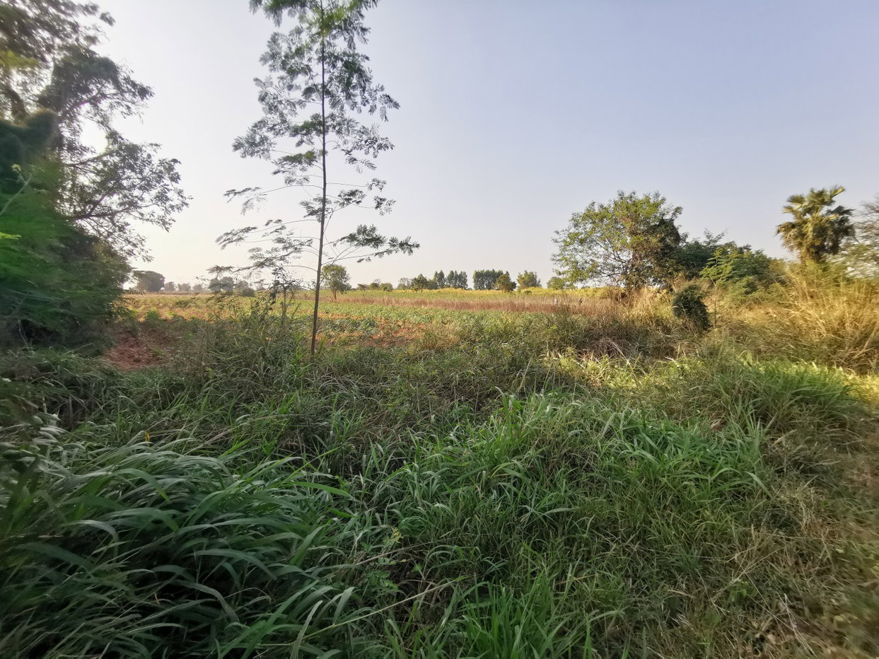 picture LAND 756 Sq.w. Chatturat Chaiyaphum for 866,000 - 1/3