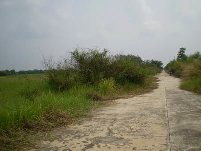 รูป ที่ดินเปล่า 85.4 ตร.วา หนองเสือ หนองเสือ ปทุมธานี - รูปที่ 14/16