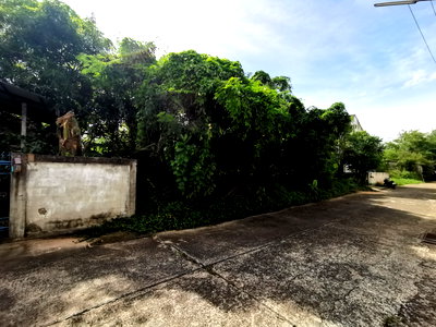 ที่ดิน เมืองอุบลราชธานี อุบลราชธานี : ที่ดินเปล่า 61.8 ตร.วา อุบลราชธานี เมืองอุบลราชธานี อุบลราชธานี 2.4M