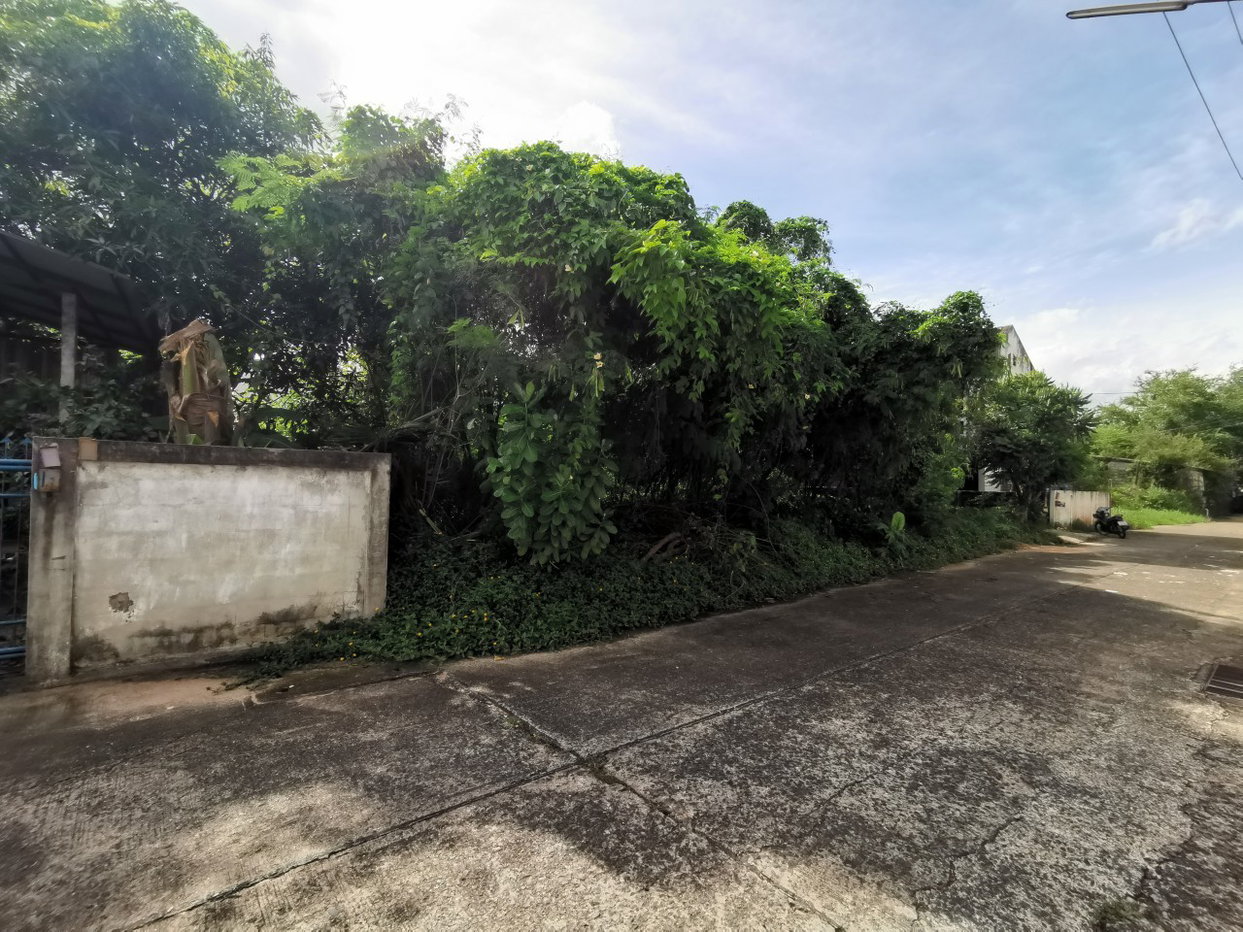 picture LAND 61.8 Sq.w. Muang Ubon Ratchathani Ubon Ratchathani for 2.4M - 1/1