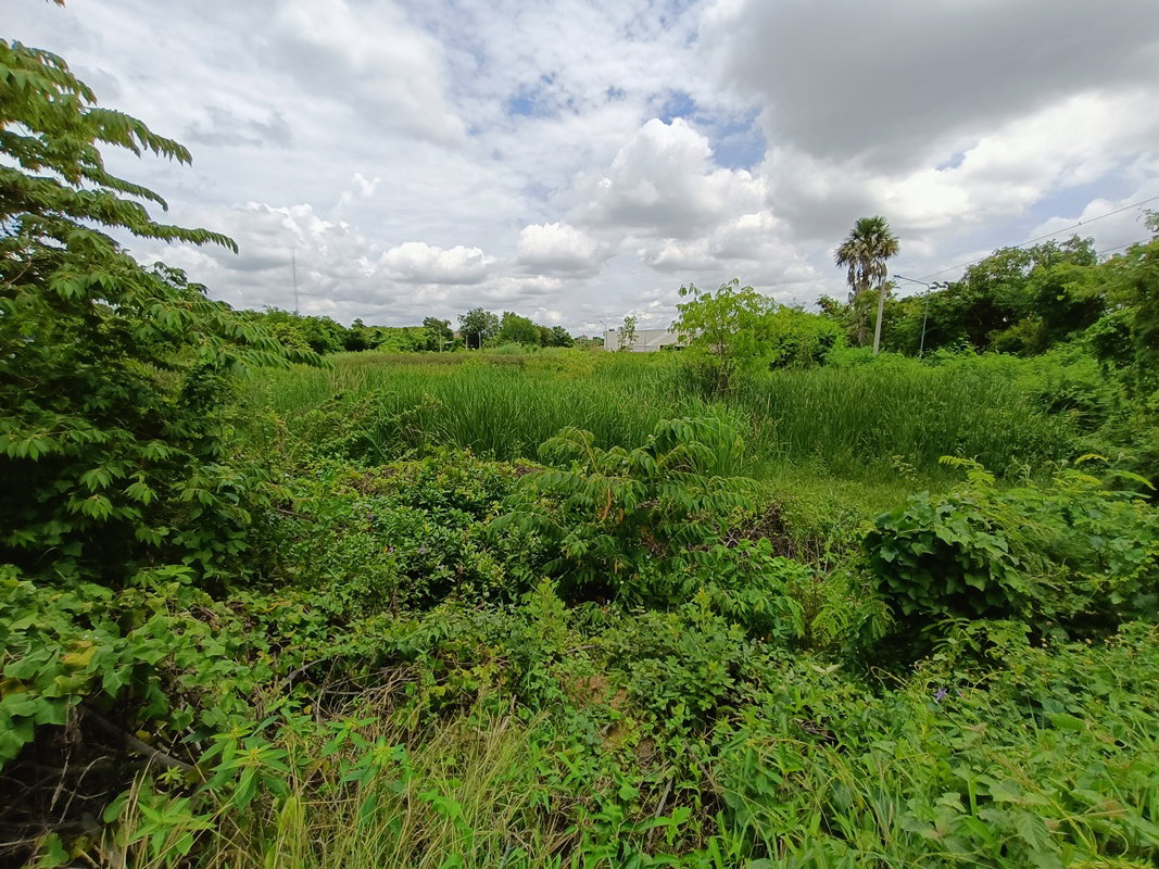 picture LAND 400 Sq.w. Muang Suphanburi Suphanburi for 2.6M - 3/4