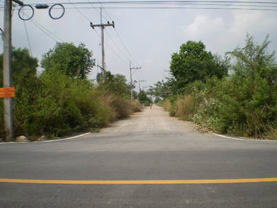 รูป ที่ดินเปล่า 85.4 ตร.วา หนองเสือ หนองเสือ ปทุมธานี - รูปที่ 9/16