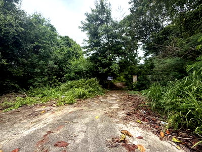 LAND 1600 Sq.w. Phanat Nikhom Chonburi for 3.5M