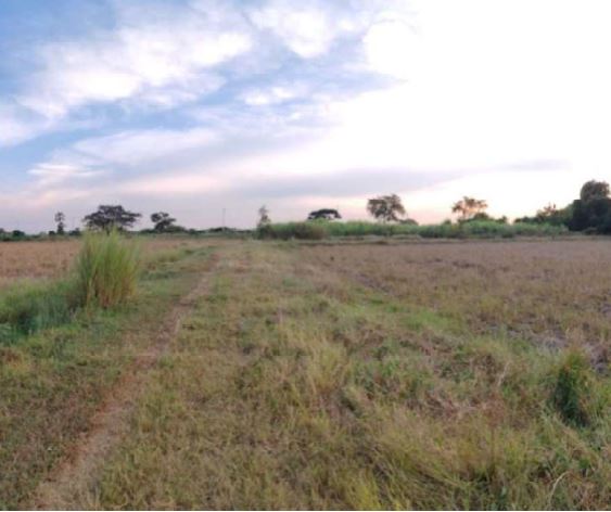 รูป ที่ดินเปล่า 11920 ตร.วา ท่าผา บ้านโป่ง บ้านโป่ง ราชบุรี 16M - รูปที่ 7/7