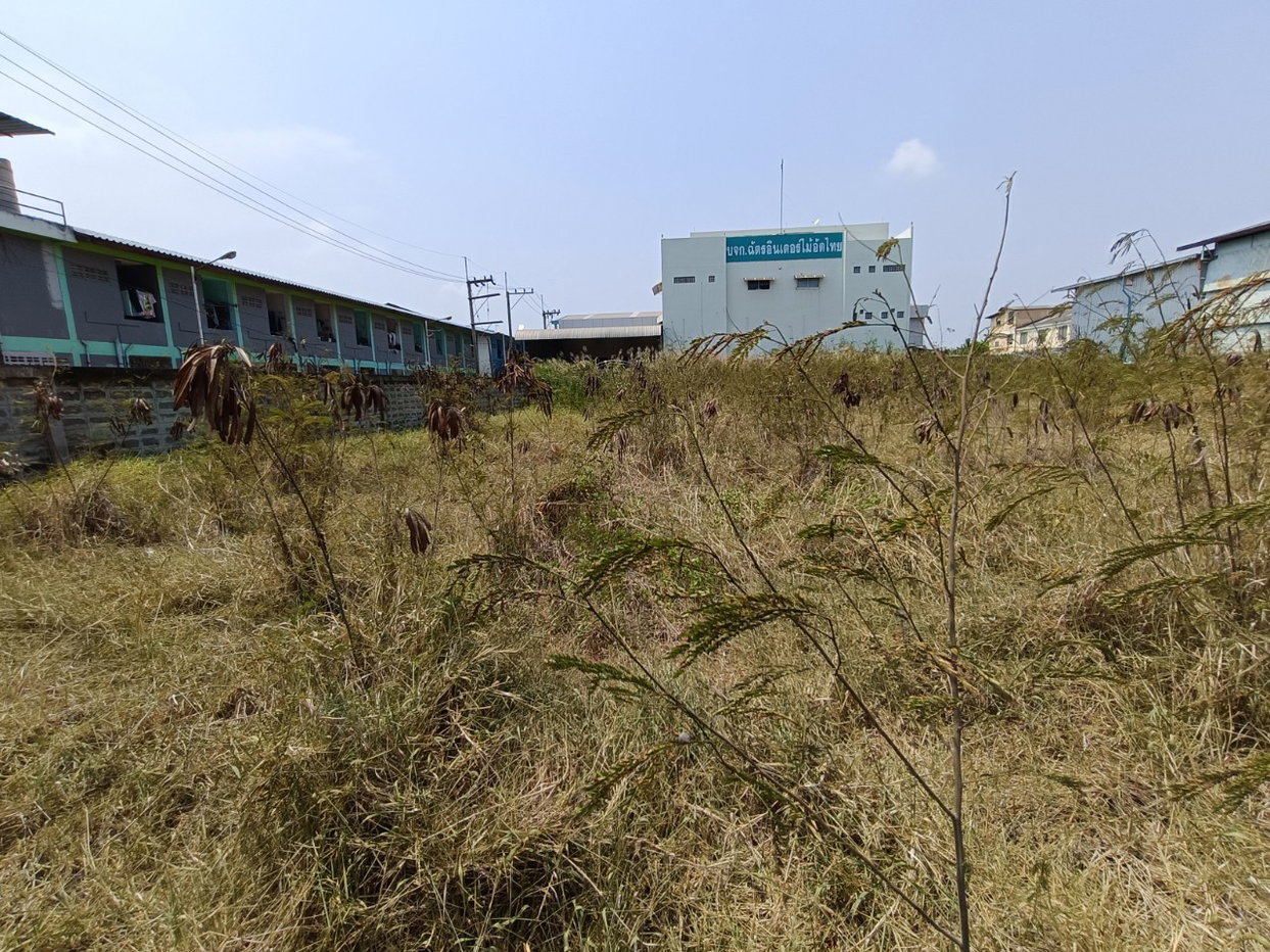 picture LAND 804 Sq.w. Muang Samut Sakhon Samut Sakhon for 36.3M - 3/3