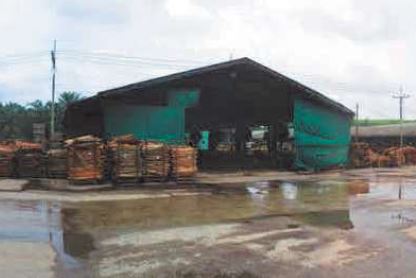 picture LAND 21329.8 Sq.w. Tha Phae Satun for 380M - 8/12