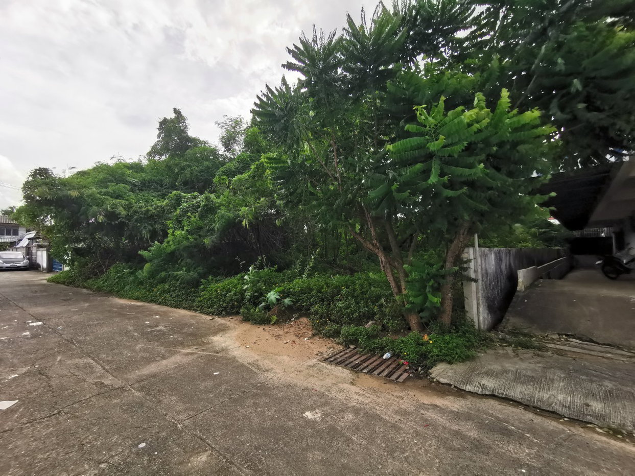picture LAND 62.5 Sq.w. Muang Ubon Ratchathani Ubon Ratchathani for 2.5M - 2/2