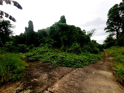 LAND 2436 Sq.w. Muang Phuket Phuket Price on request