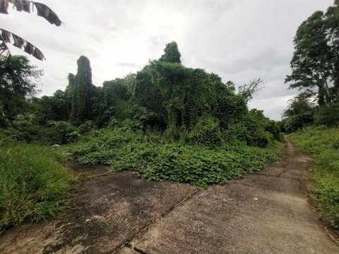 LAND 2436 Sq.w. Muang Phuket Phuket Price on request