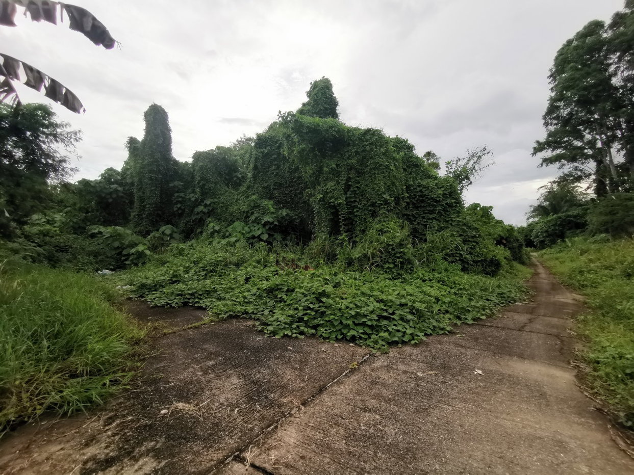 รูป ที่ดินเปล่า 2436 ตร.วา รัษฎา ภูเก็ต เมืองภูเก็ต ภูเก็ต - รูปที่ 1/4