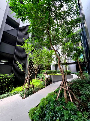 เช่าคอนโด เมกะ บางนา : 🔥 บางนา ชั้นสูง ห้องสวย ครบ พร้อมอยู่! 🔥 ให้เช่า Niche Mono Mega Space Bangna ทำเลฮิต ใกล้ Mega Bangna