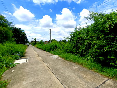 Land for sale Boromarajonani College of Nursing Suphan Buri : LAND 400 Sq.w. Muang Suphanburi Suphanburi for 2.6M