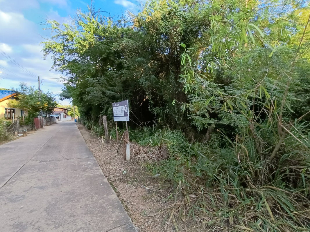 picture LAND 454 Sq.w. Thap Khlo Phichit for 985,000 - 2/2